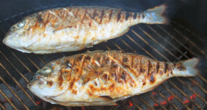 Fisch gegrillt